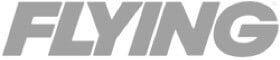 Flying Logo